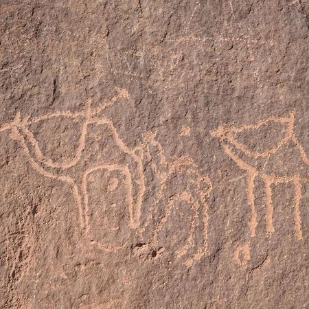 Wadi Rum Albasli Экстерьер фото