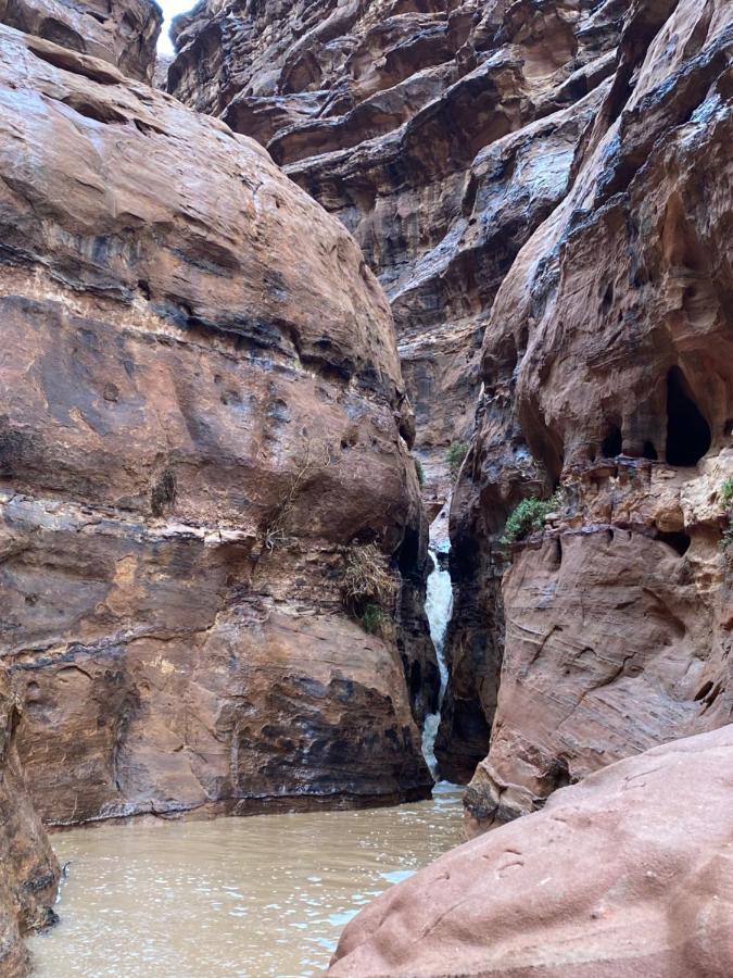 Wadi Rum Albasli Экстерьер фото